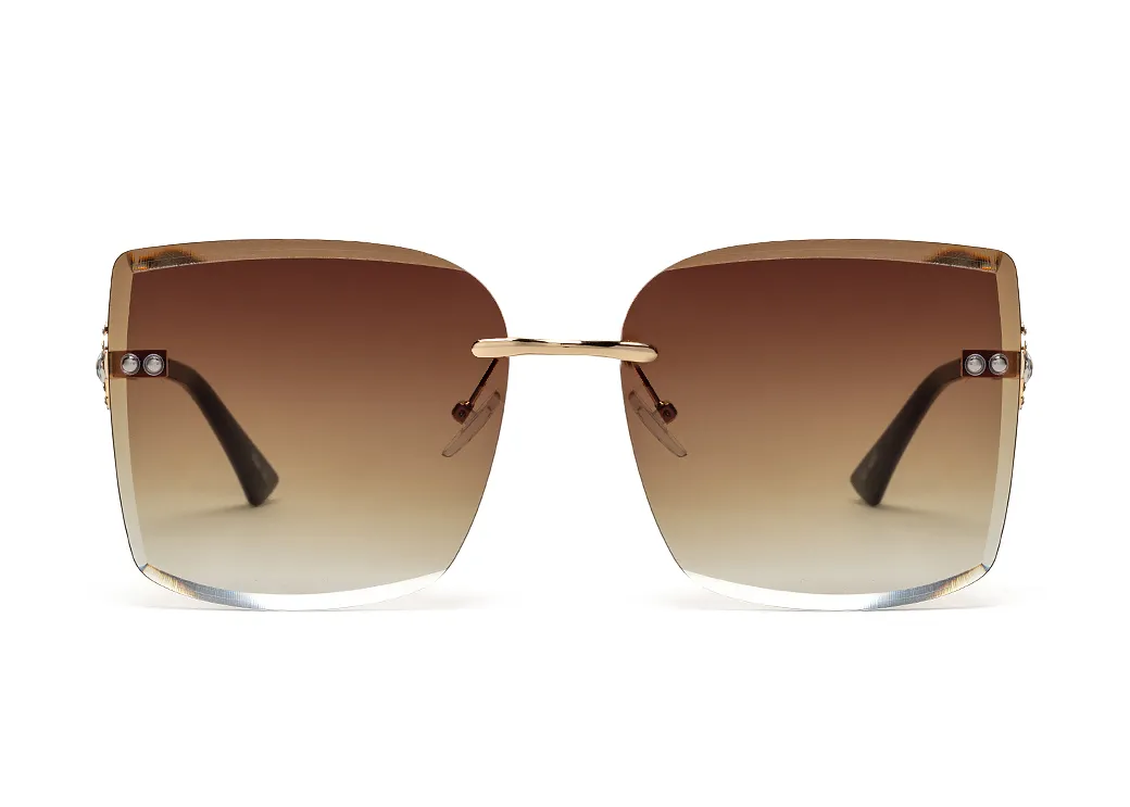 Premium 2206-C2 z etui